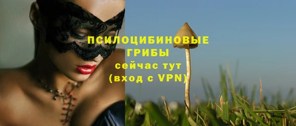 амфетамин Белокуриха