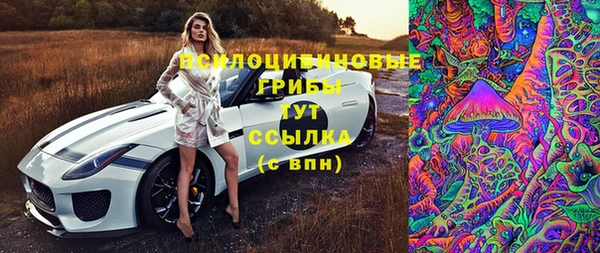 гидропоника Струнино